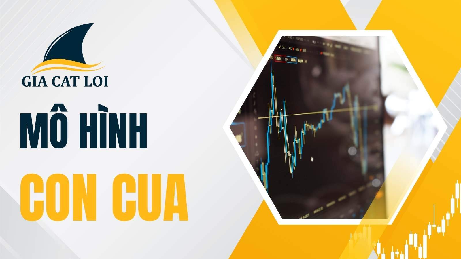 Bài 5: Mô hình con cua
