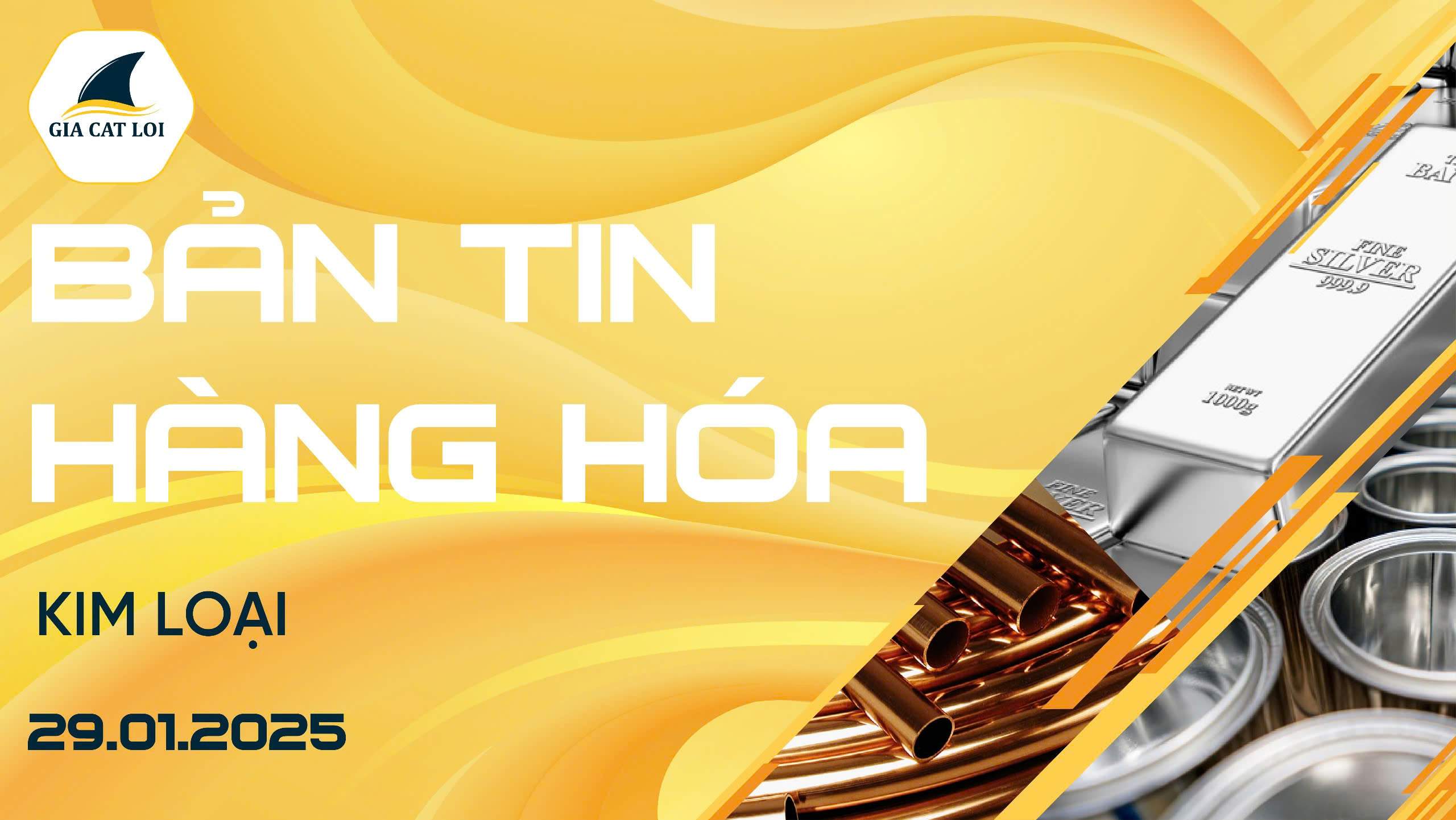 Bản Tin Nhóm Kim Loại Ngày 29/01/2025