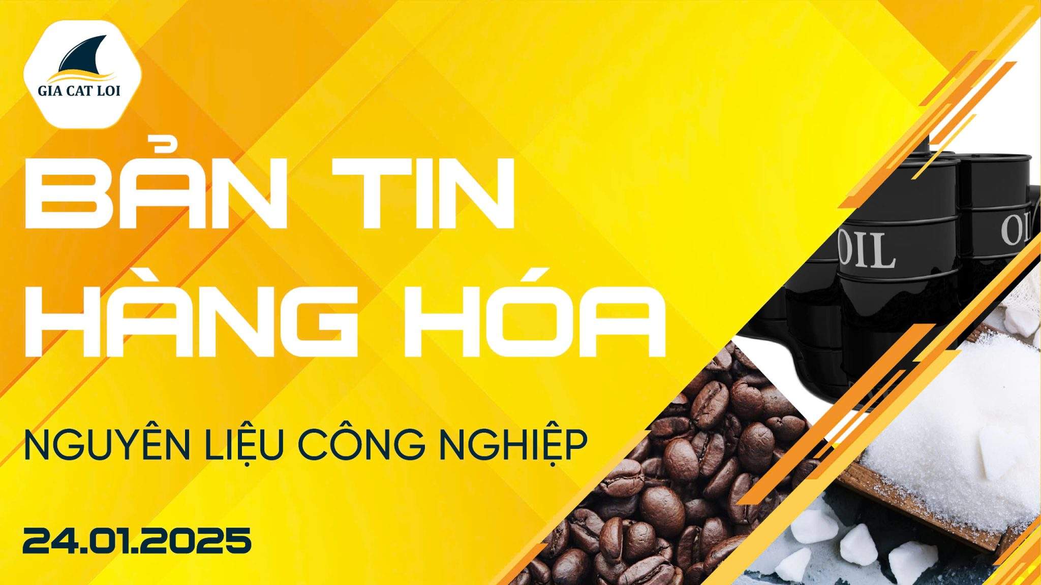 Bản Tin Nhóm Nguyên Liệu Công Nghiệp Ngày 24/01/2025
