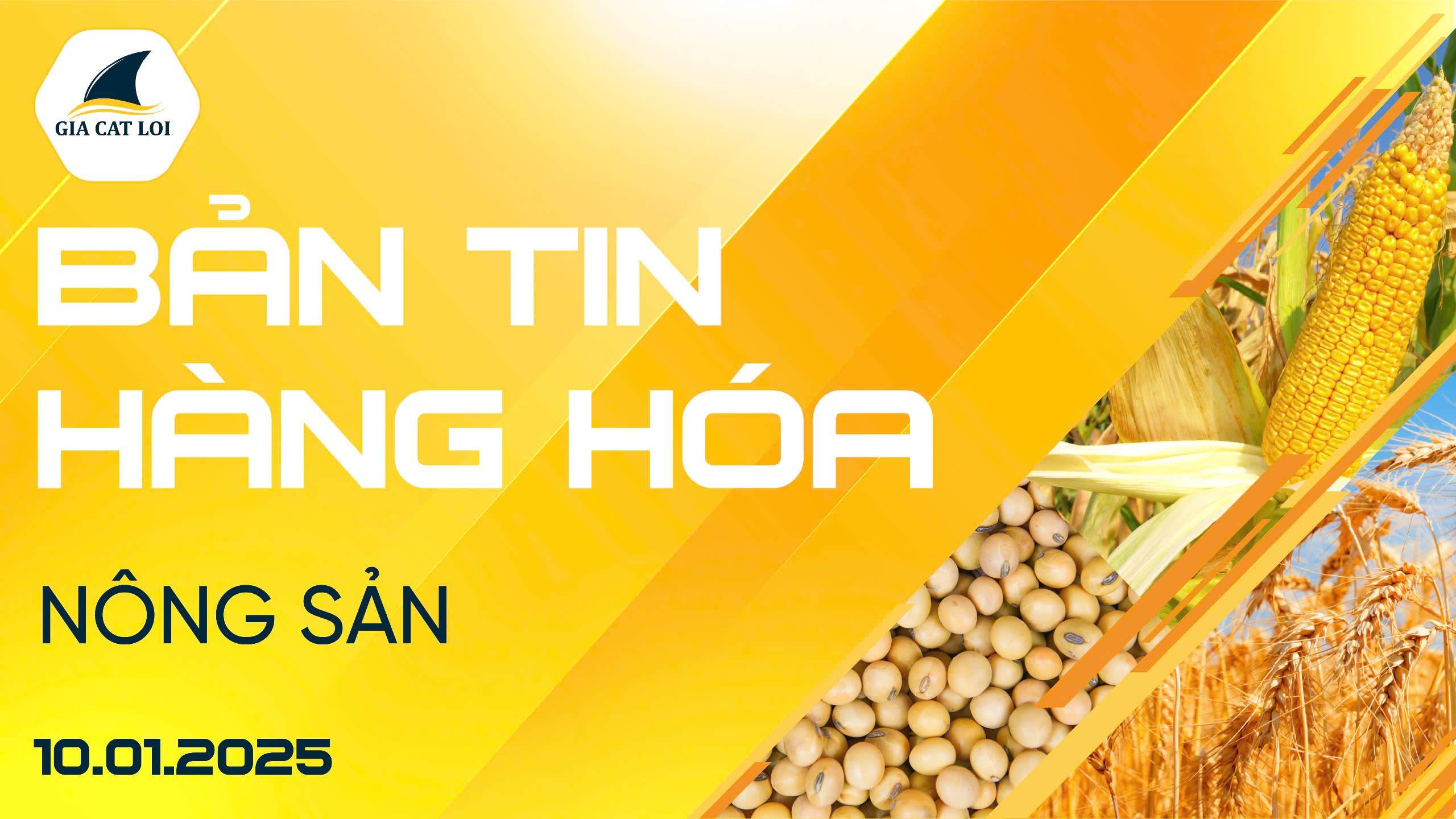 Bản Tin Nhóm Nông Sản Ngày 10/01/2025