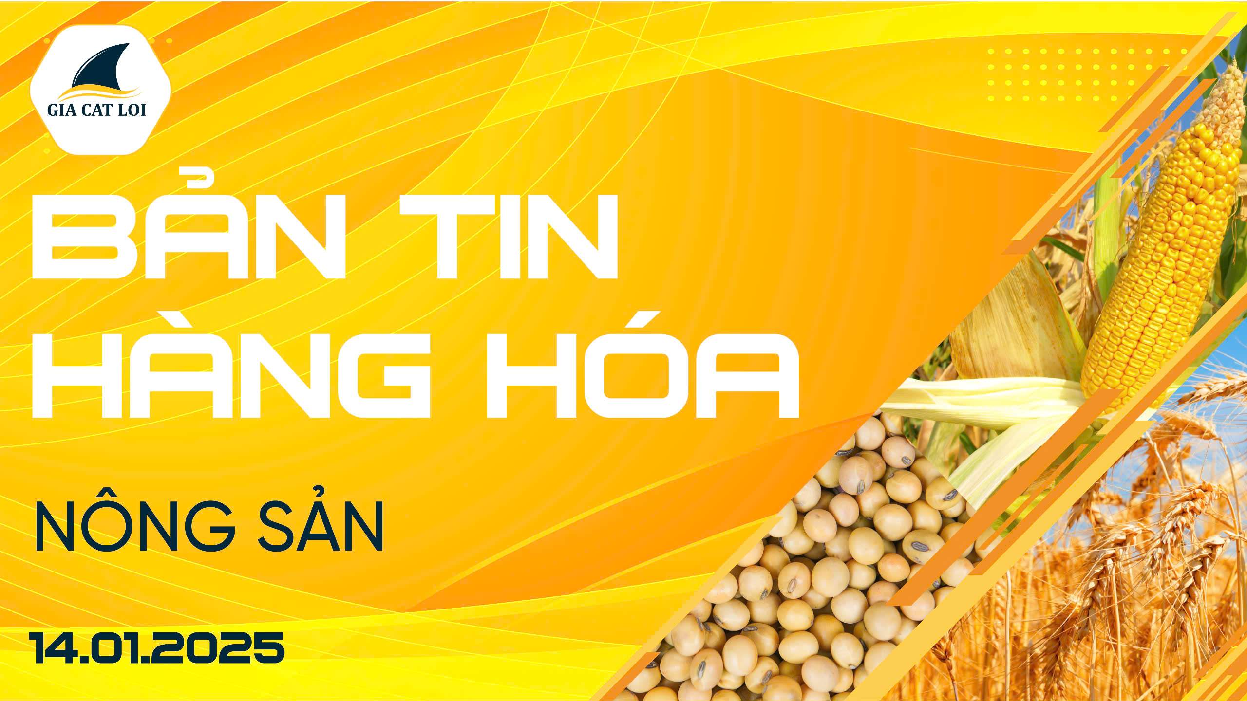 Bản Tin Nhóm Nông Sản Ngày 14/01/2025