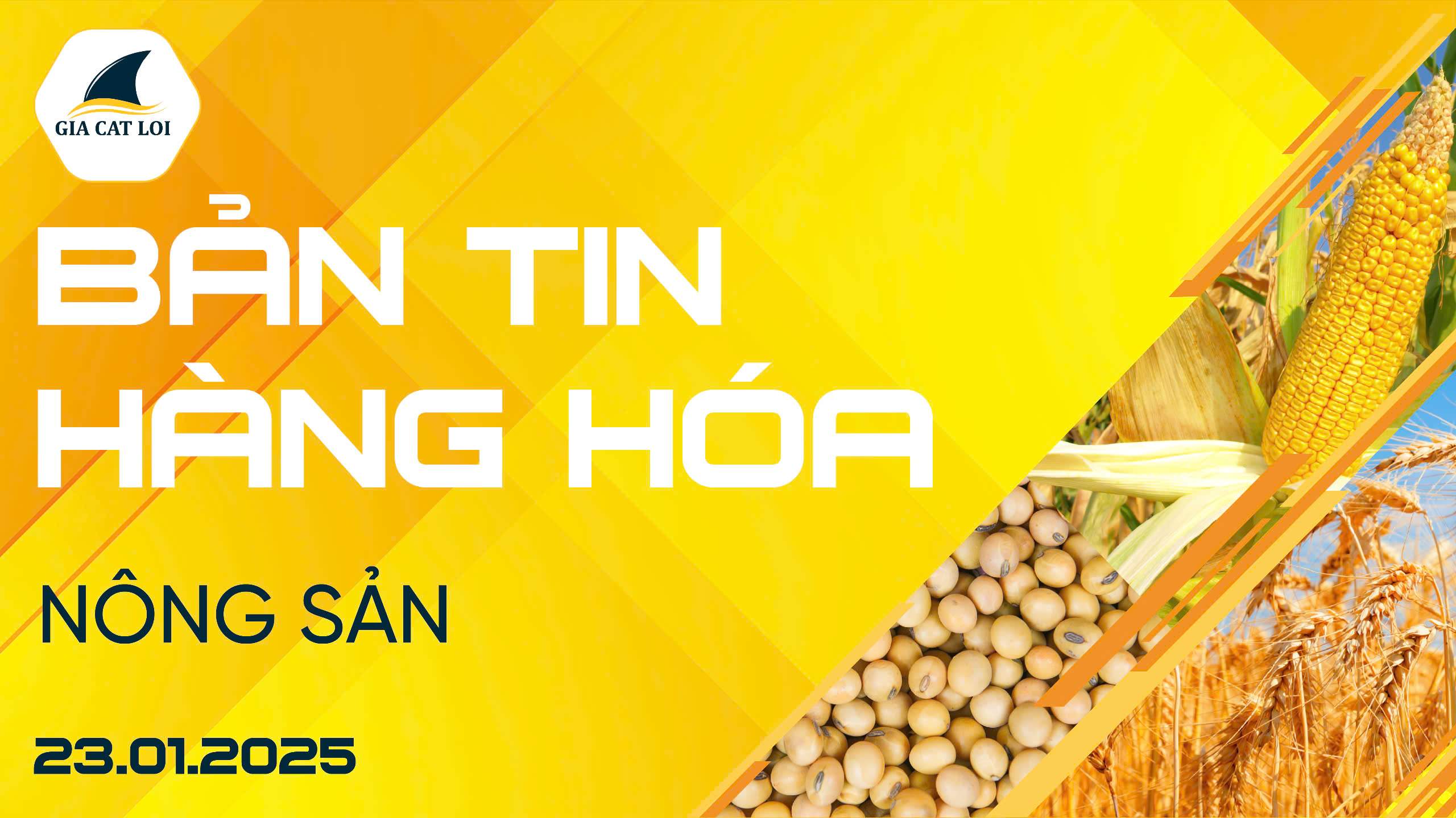 Bản Tin Nhóm Nông Sản Ngày 23/01/2025