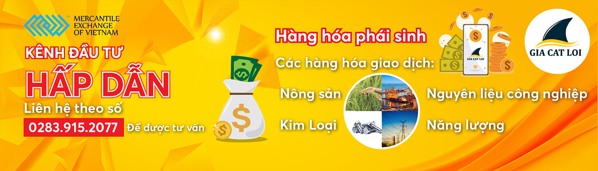 Đầu tư hàng hóa