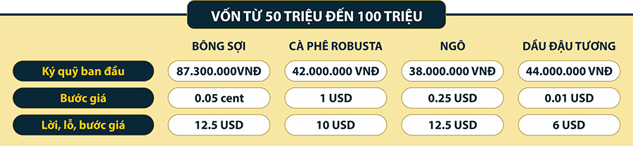 Vốn 50 đến 100 triệu