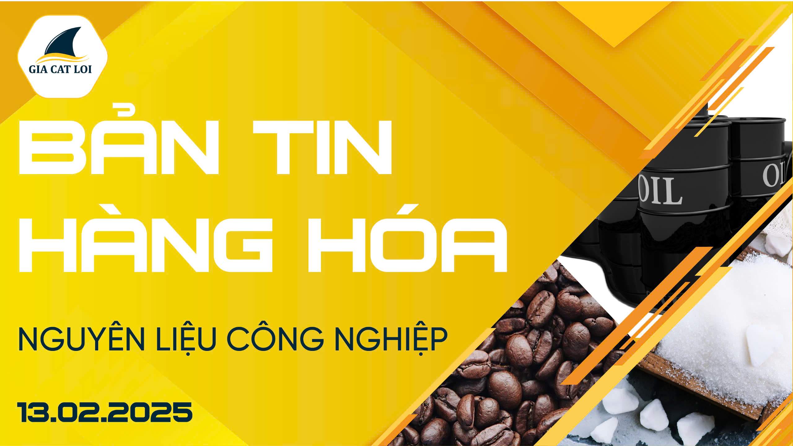 Bản Tin Nhóm Nguyên Liệu Công Nghiệp Ngày 13/02/2025
