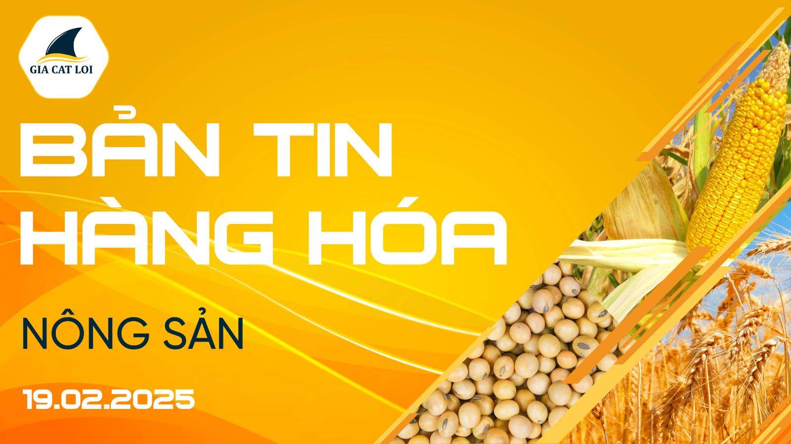 Bản Tin Nhóm Nông Sản Ngày 19/02/2025