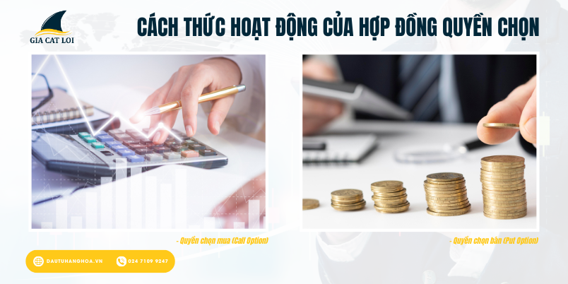 Đặc Điểm Của Hợp Đồng Quyền Chọn