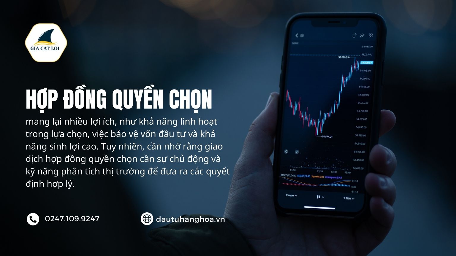 Hợp đồng quyền chọn (option)