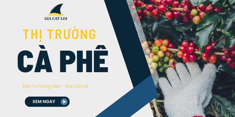 Nhan dinh thi truong Ca Phe o Viet Nam