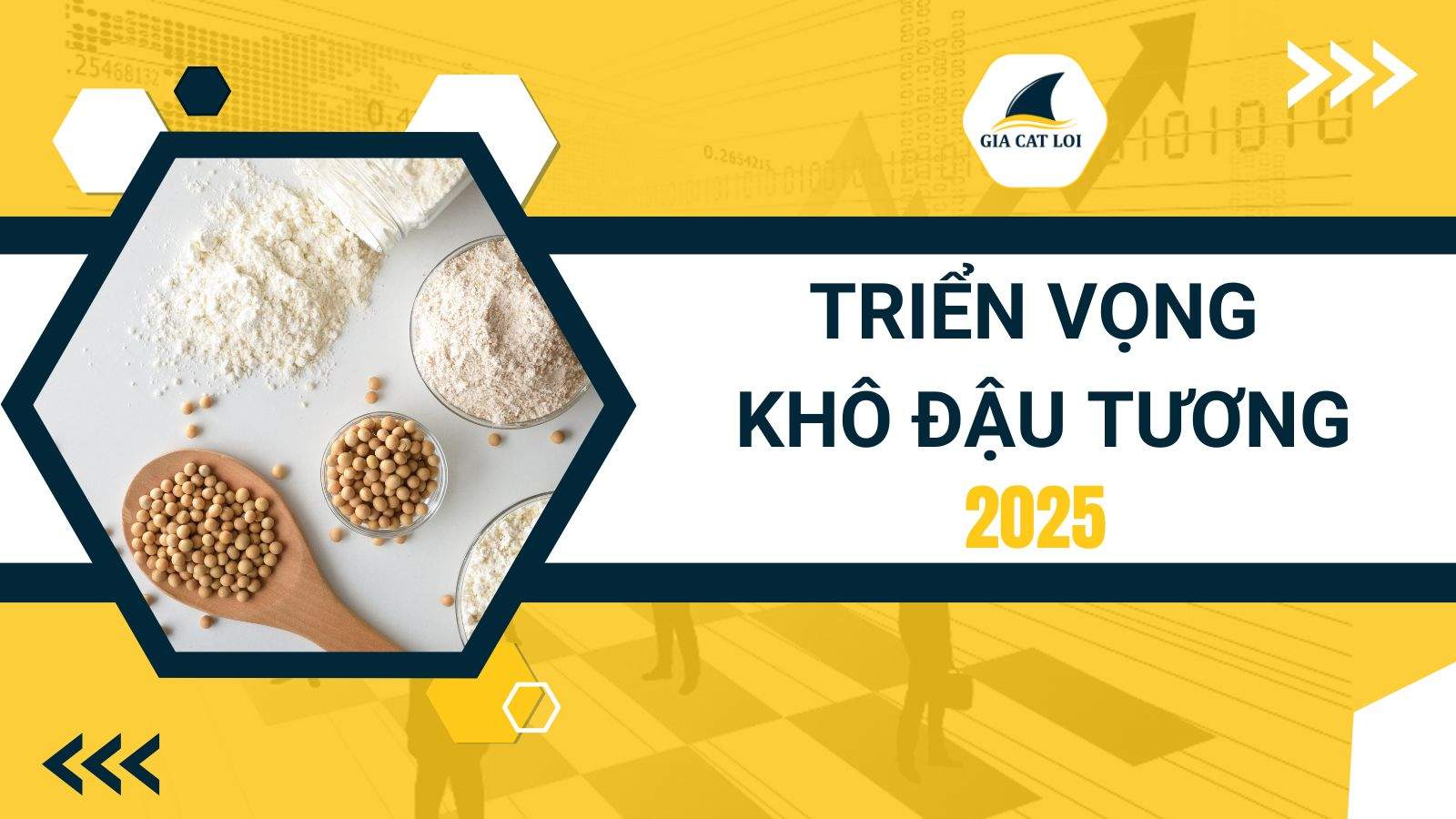 Triển Vọng Khô Đậu Tương Năm 2025