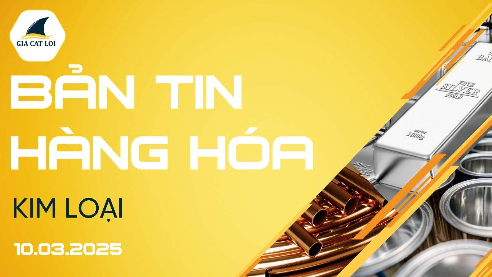 Bản Tin Nhóm Kim Loại Ngày 10/03/2025
