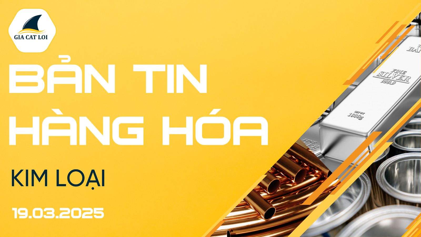 Bản Tin Nhóm Kim Loại Ngày 19/03/2025