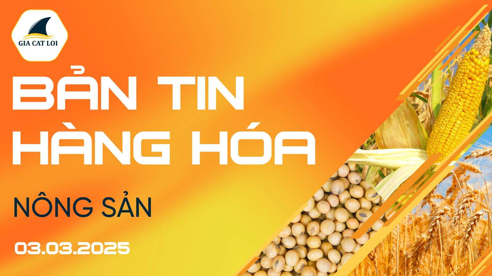 Bản Tin Nhóm Nông Sản Ngày 03/03/2025