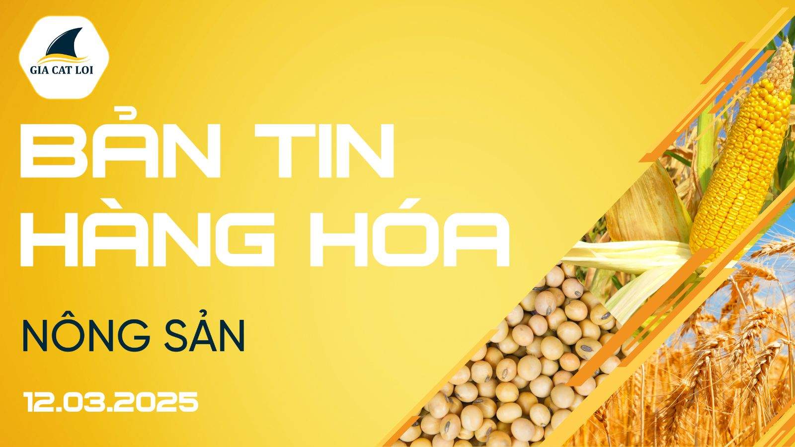 Bản Tin Nhóm Nông Sản Ngày 12/03/2025