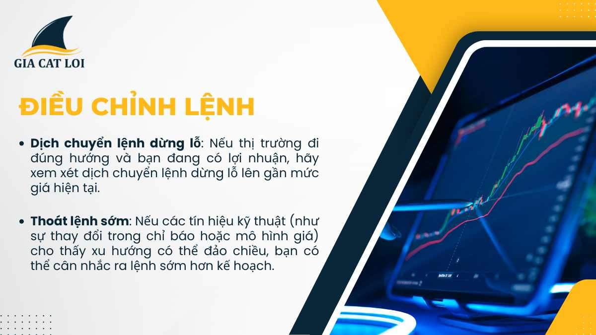 Điều chỉnh lệnh