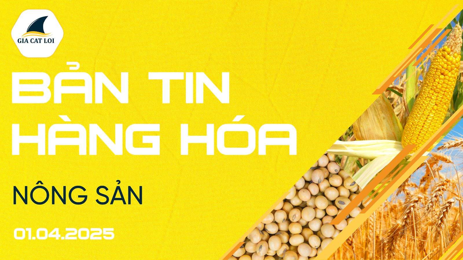 Bản Tin Nhóm Nông Sản Ngày 01/04/2025