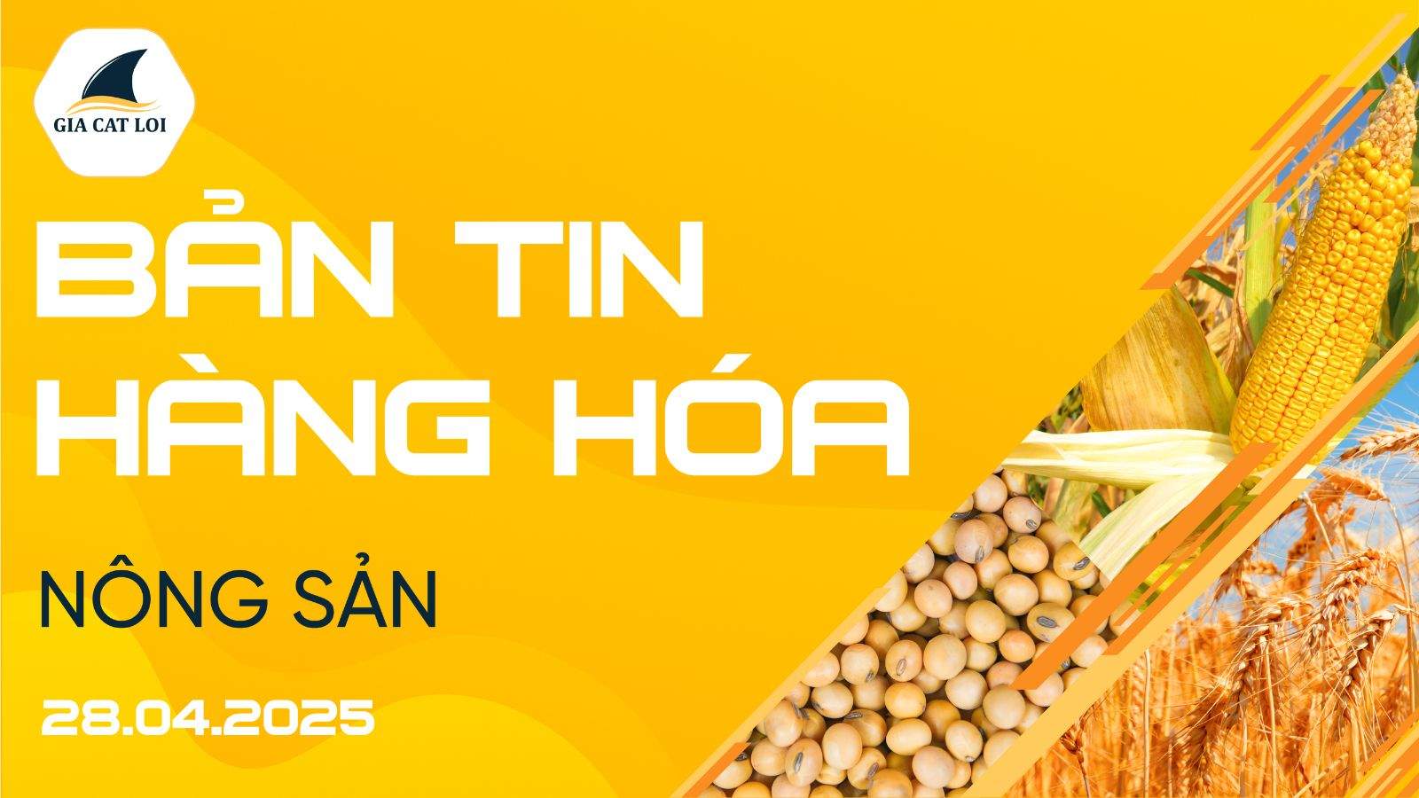 Bản Tin Nhóm Nông Sản Ngày 28/04/2025