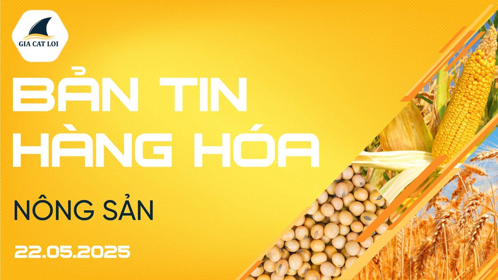 Bản Tin Nhóm Nông Sản Ngày 22/05/2025