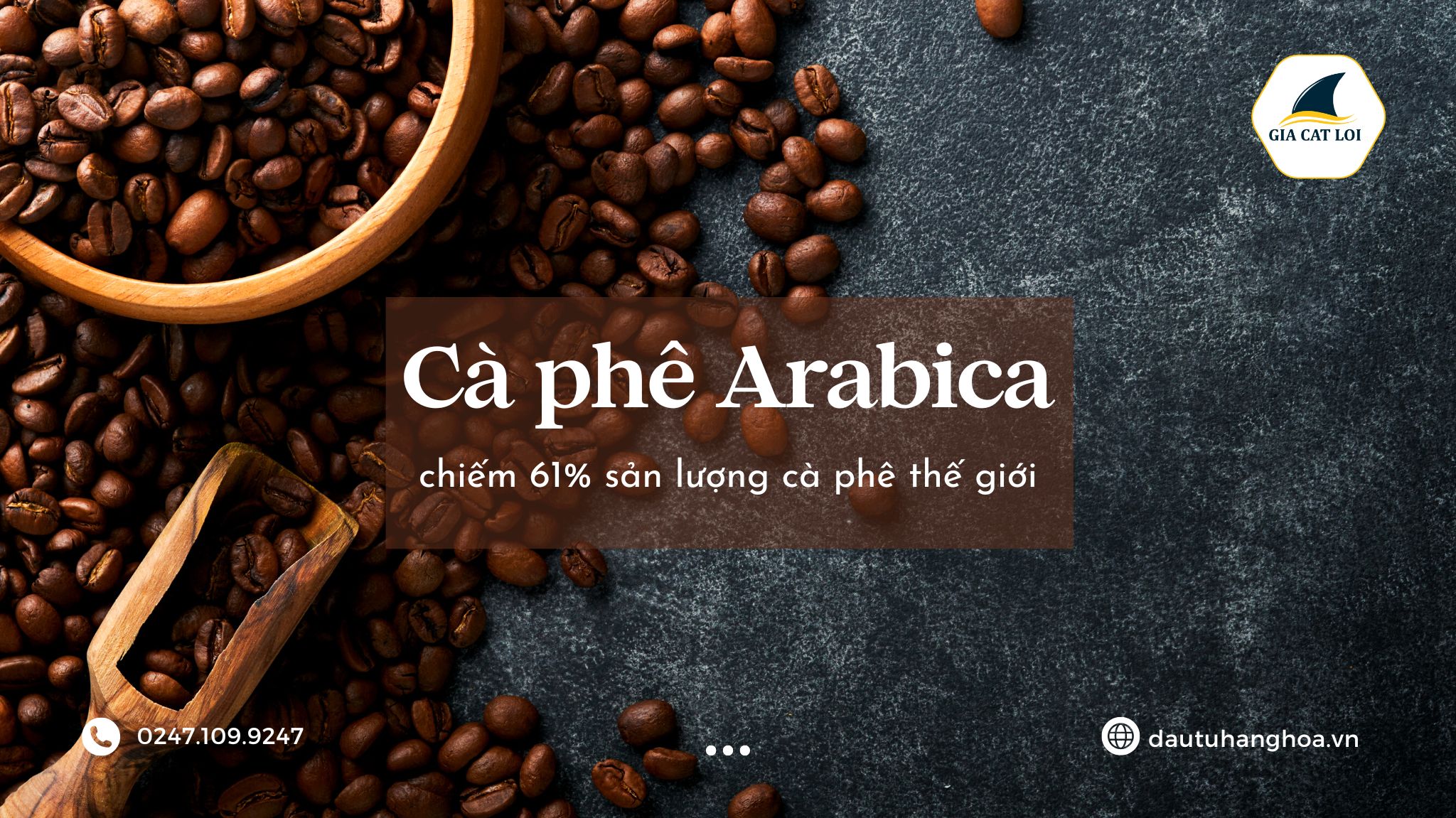 Giá cà phê arabica Ca Phe Arabica