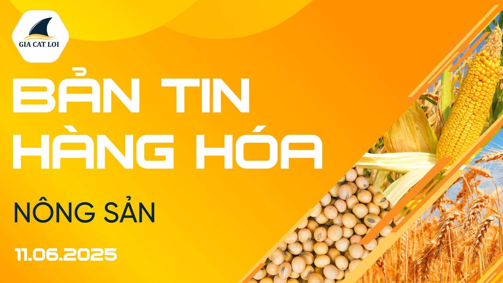 Bản Tin Nhóm Nông Sản Ngày 11/06/2025