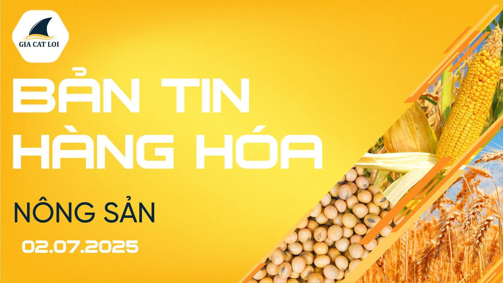 Bản Tin Nhóm Nông Sản Ngày 02/07/2025