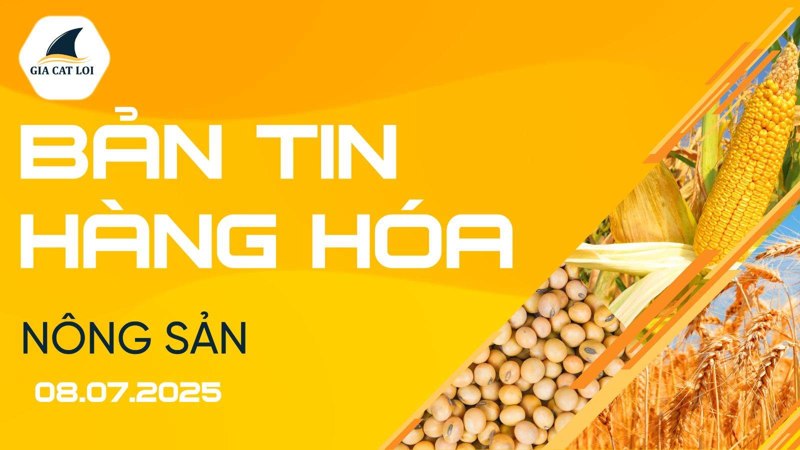 Bản Tin Nhóm Nông Sản Ngày 08/07/2025