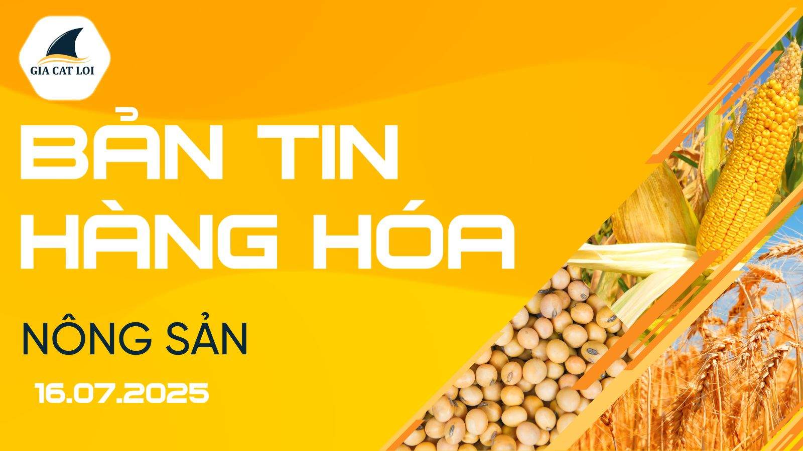 Bản Tin Nhóm Nông Sản Ngày 16/07/2025