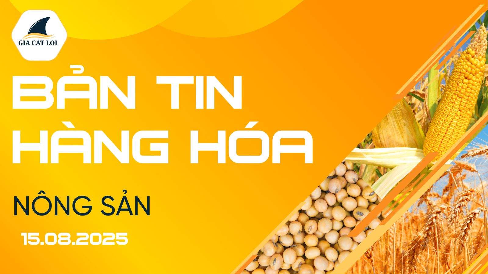 Bản Tin Nhóm Nông Sản Ngày 15/08/2025