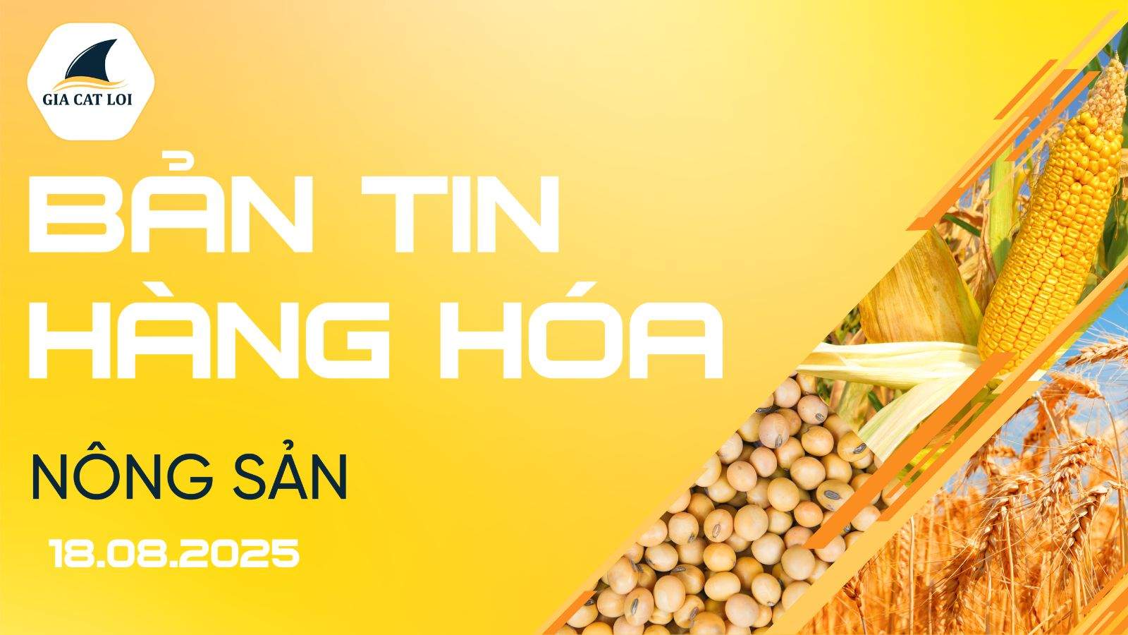 Bản Tin Nhóm Nông Sản Ngày 18/08/2025